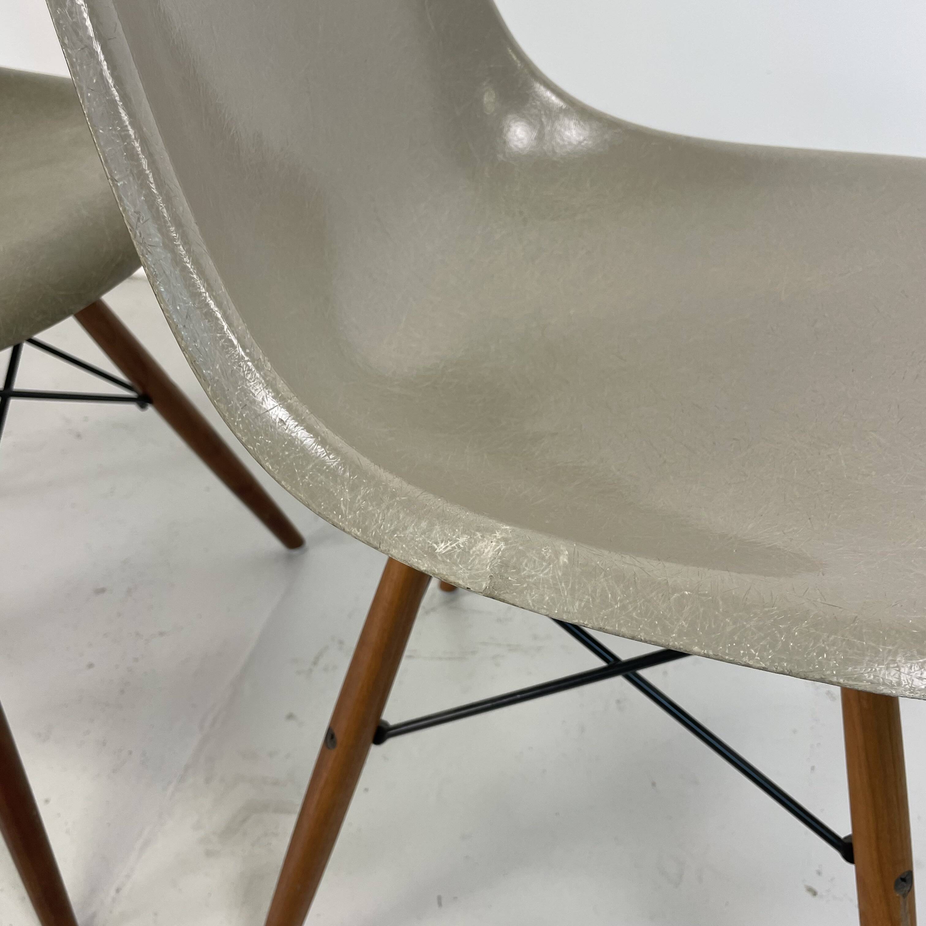 Chaises d'appoint Eames Herman Miller DSW en grège, vert écume de mer, ocre clair et parchemin avec léger