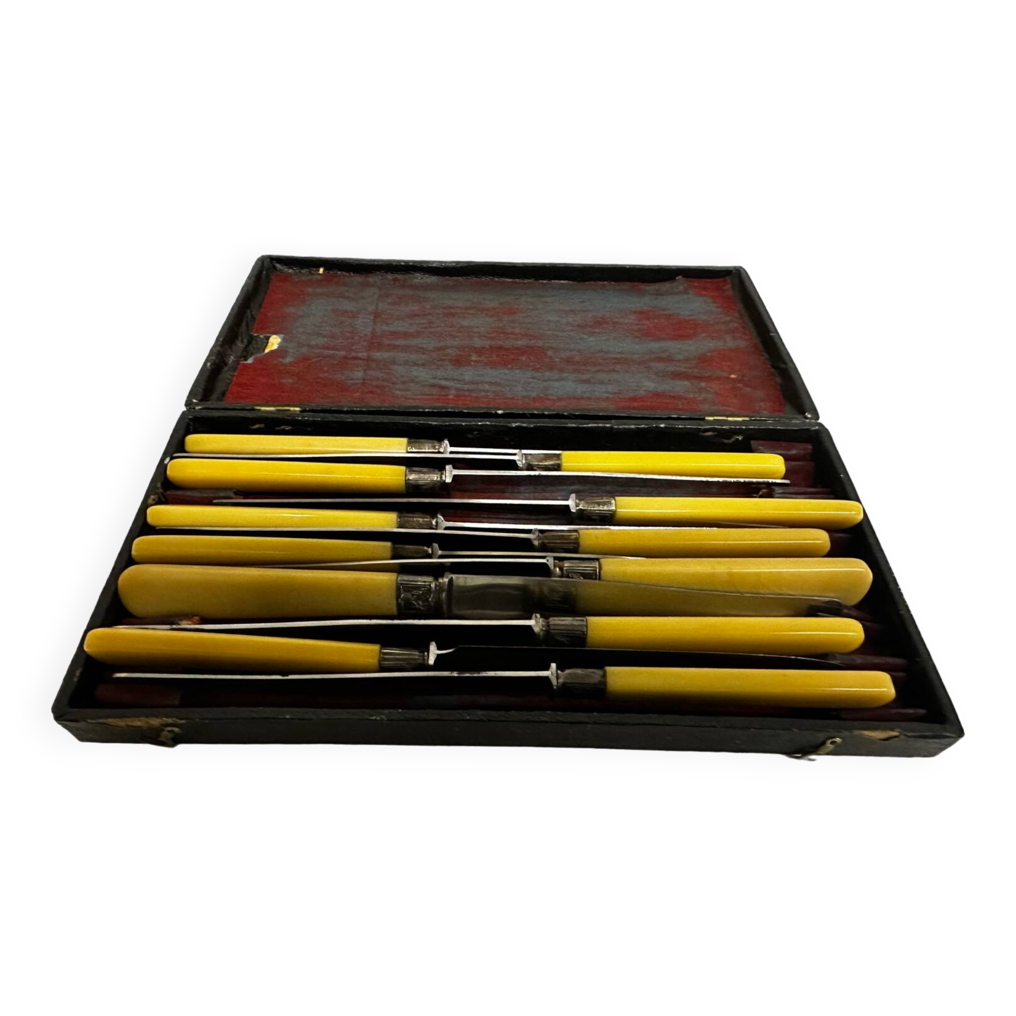 12 Antique Knives with Bakelite Handles and Stainless Steel Blades - 24 cm - Paris