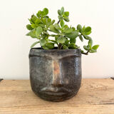 Terracotta head vase