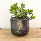 Terracotta head vase