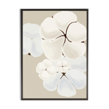 Illustration "Douceur de coton" par Noums Atelier