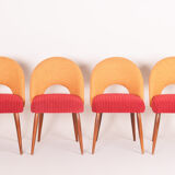 Four czechoslovak midcentury chairs, with new upholstery and original fabric