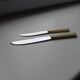 24 Art Deco knives Apollonox bakelite and stainless steel handles in case