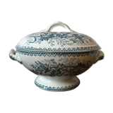 Thistle Iron Earth Soup