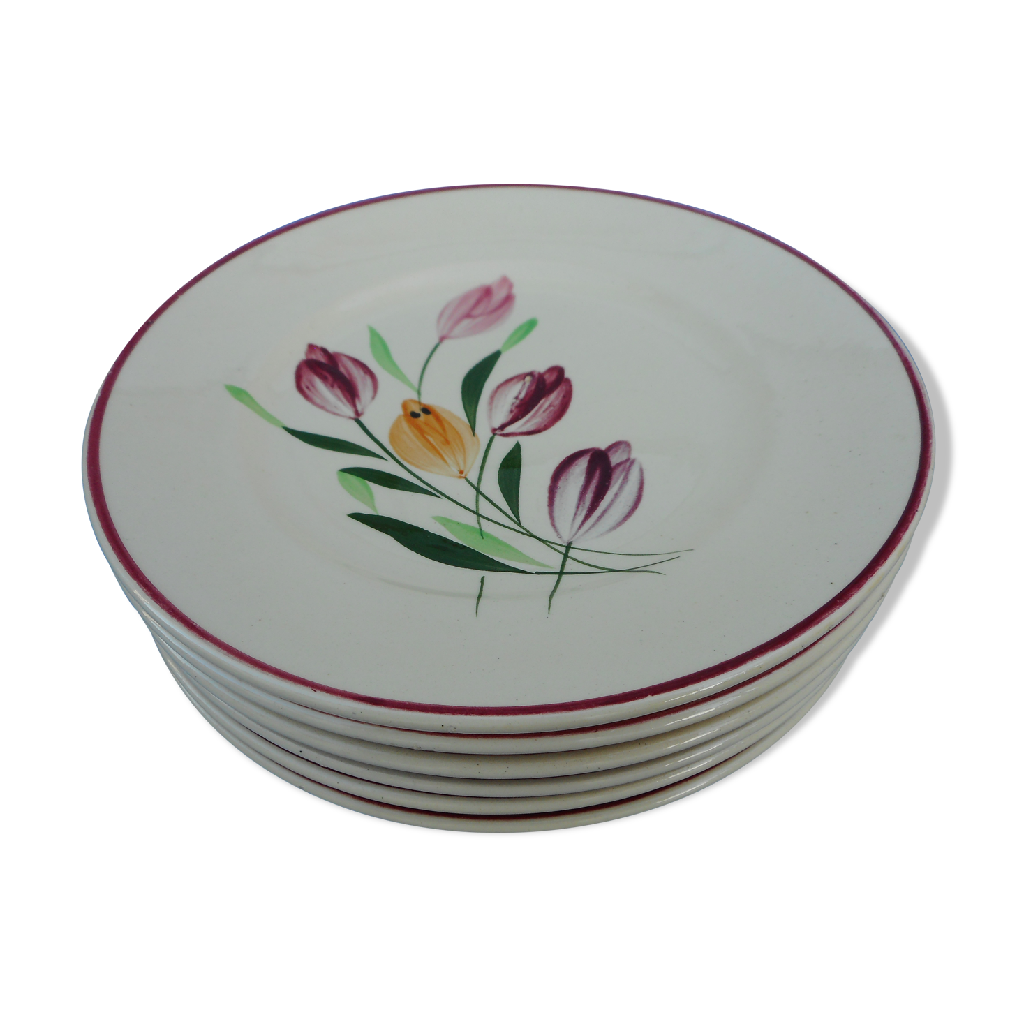 Lot of six plates decorated Tulips "Longchamp"