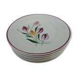 Lot of six plates decorated Tulips "Longchamp"