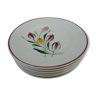 Lot of six plates decorated Tulips "Longchamp"