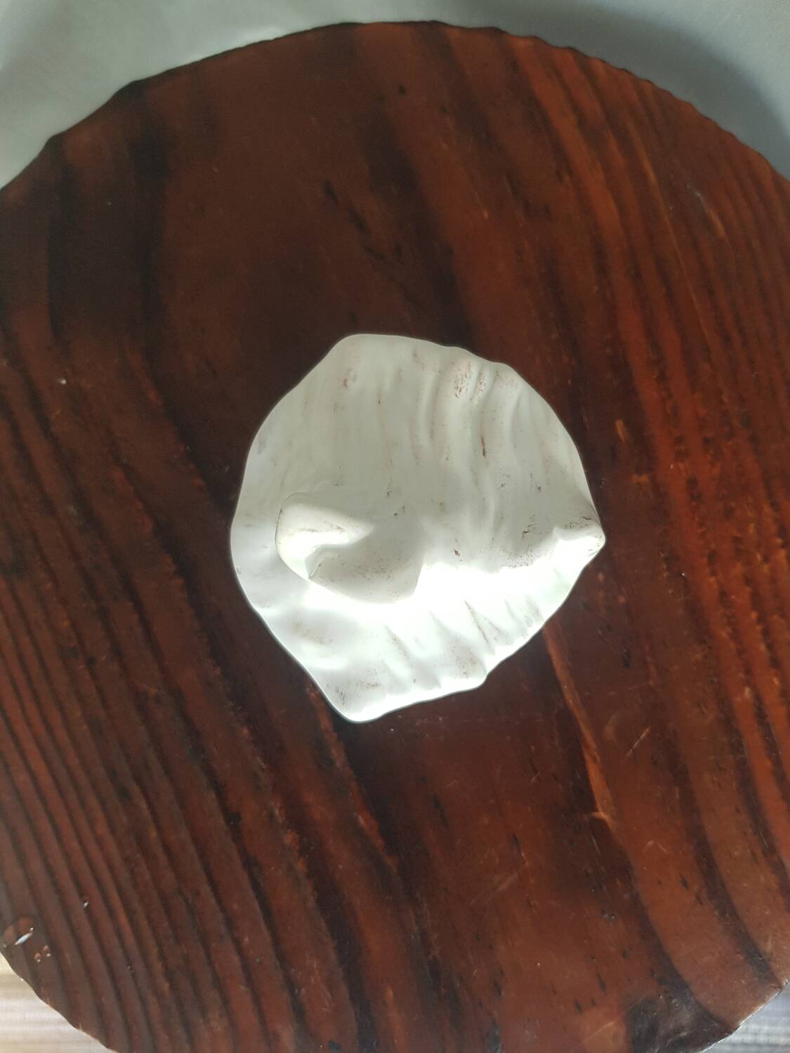 Shell teapot