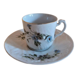 Porcelain cup and sub-cup decorated with daisies 1900