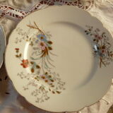 10 assiettes dessert porcelaine xixème