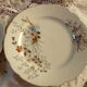10 porcelain dessert plates xixth century