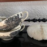 Large flat white coral