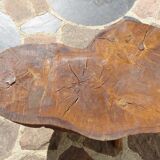 Elm tree trunk coffee table