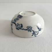Antique ironstone cup "Carmen" Sarreguemines
