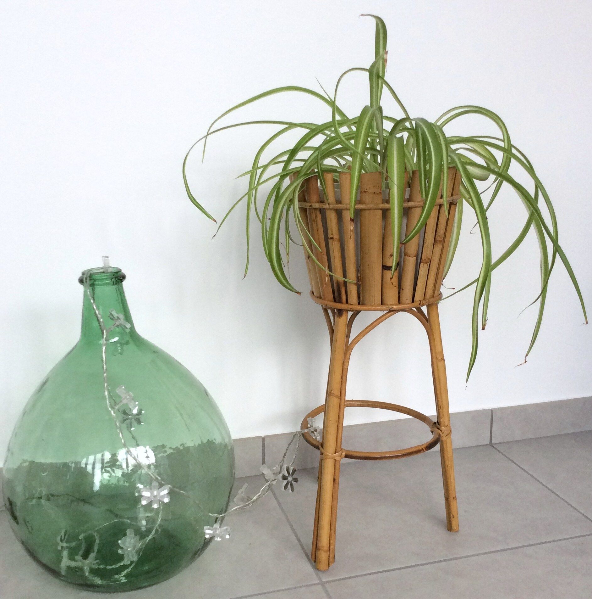 Rattan and bamboo gardener