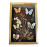 Large vintage butterflies frame