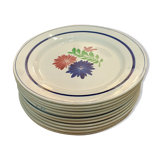 Flowered plates
