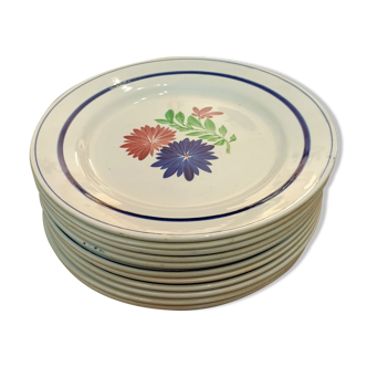 Flowered plates