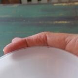 Globe opaline