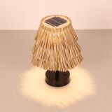 Solar desk lamp
