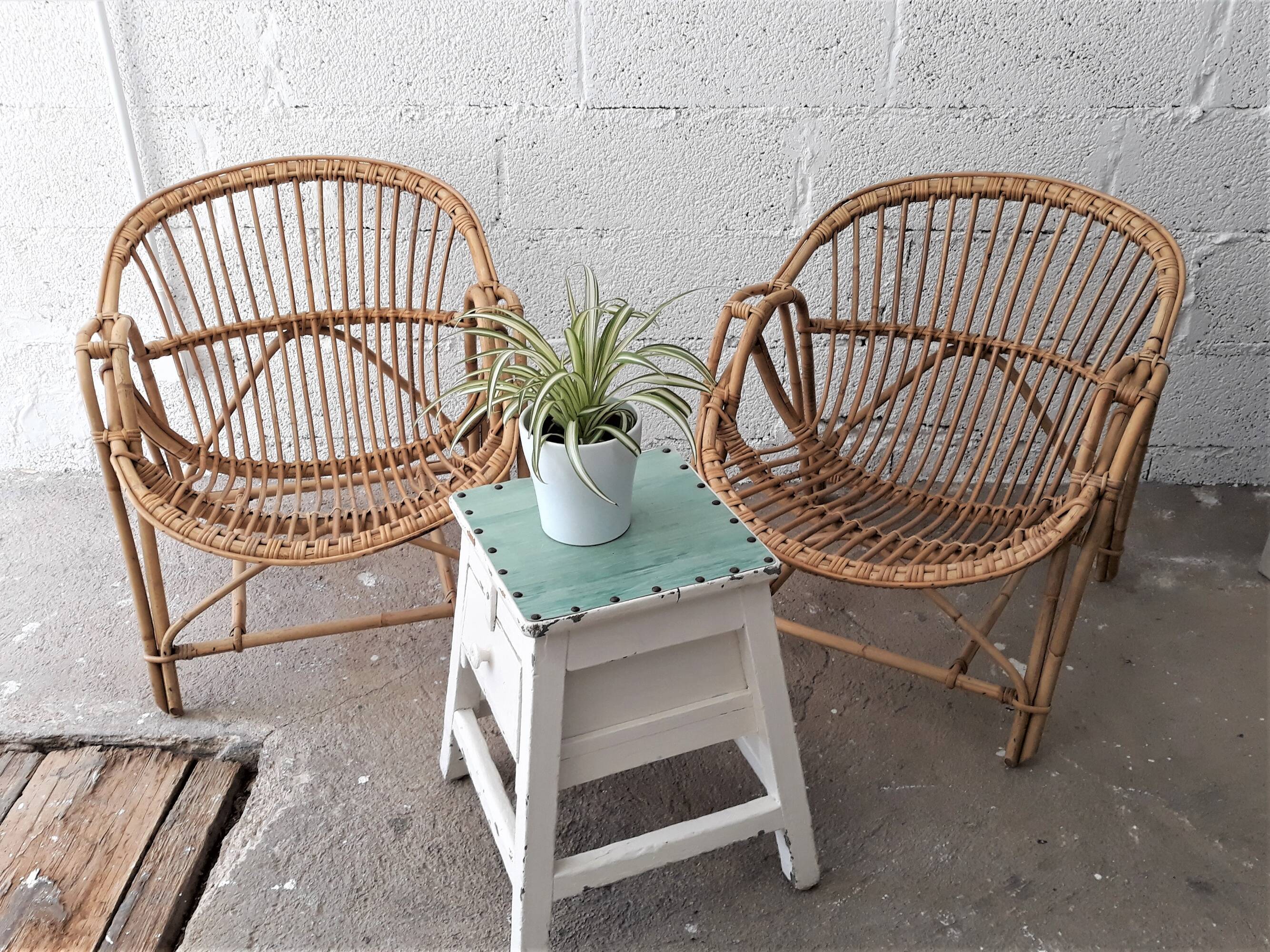 Pair of Shell-shaped Rotin chairs