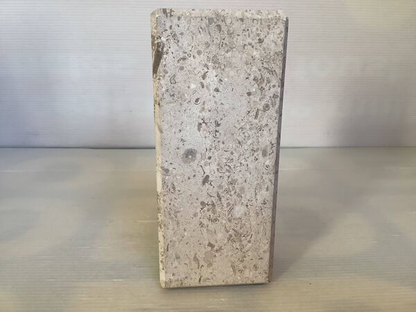 Un serre livres en travertin et fossile asymétrique