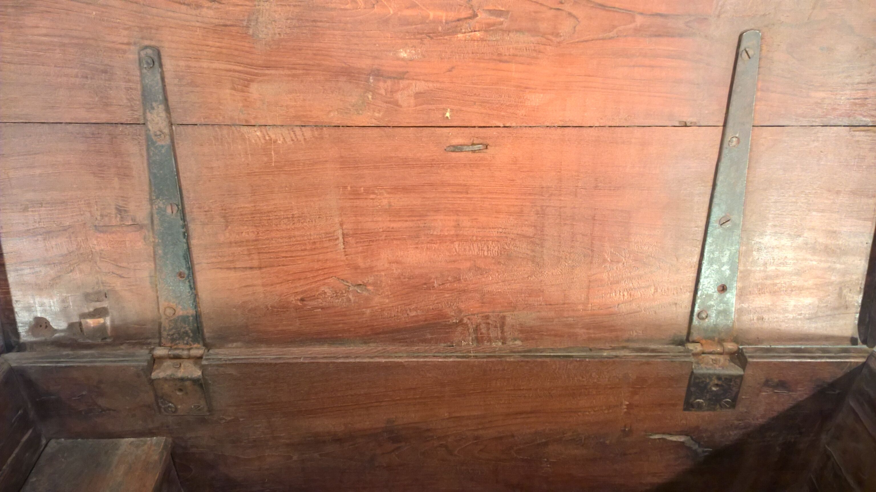 Trunk goannais ink310