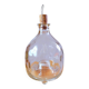 Wasp trap