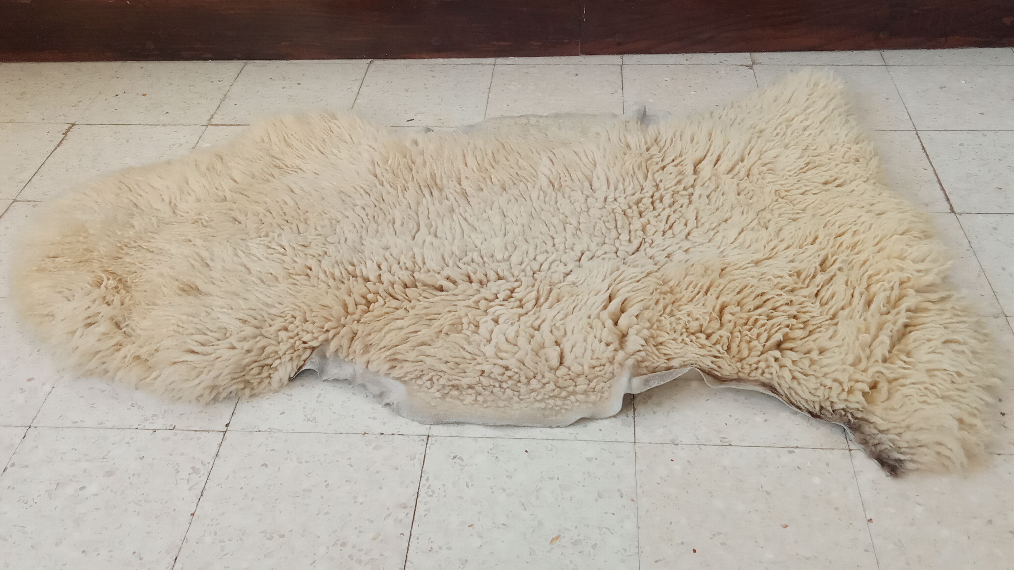 White sheepskin 107×75 cm