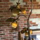 Lampadaire fleurs et plante lampe de plancher de fleur - design années 70