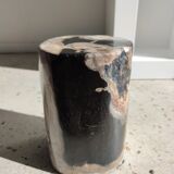 Side table in petrified wood