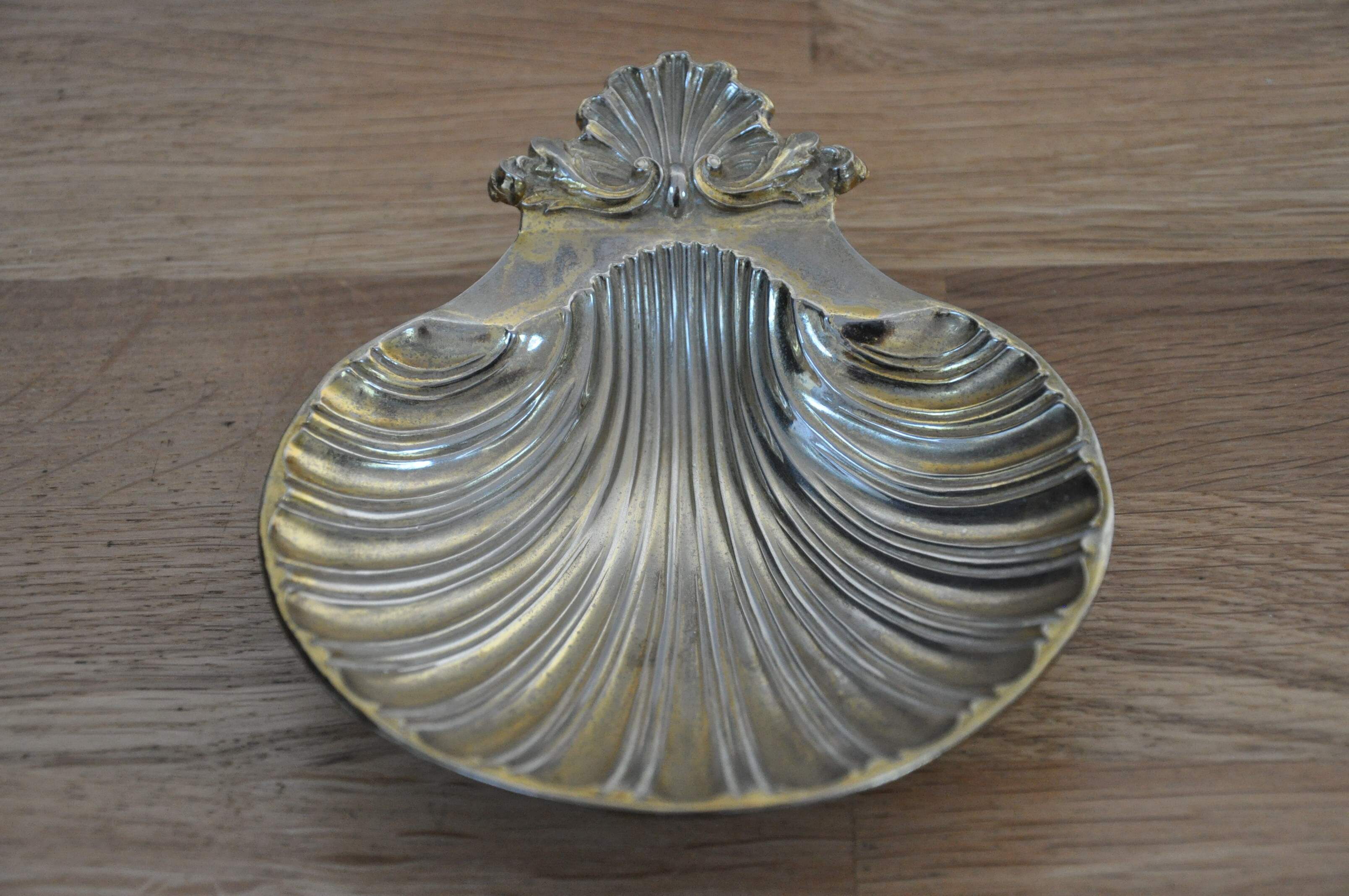 Empty-pocket scallop shell