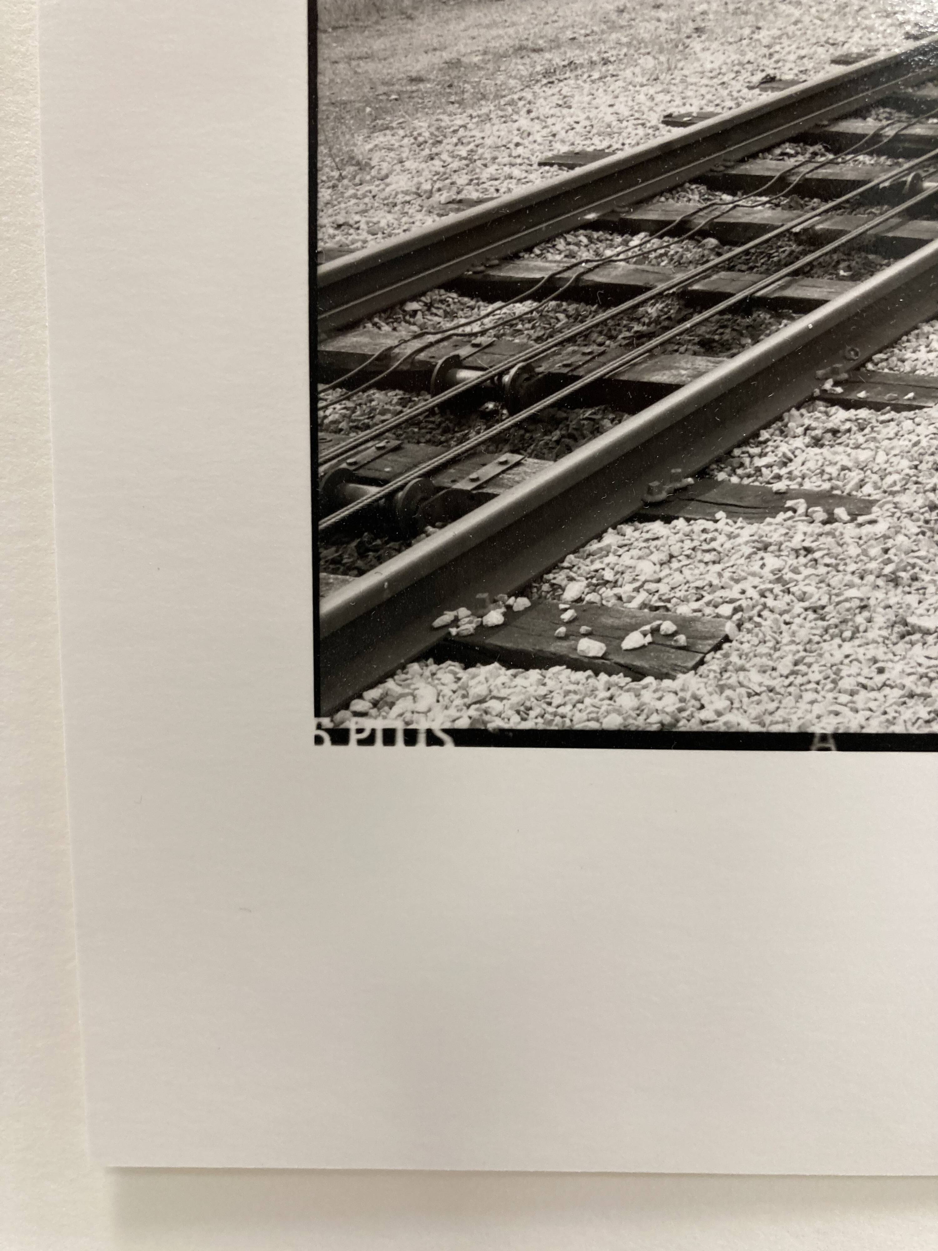 Photographie argentique d'artiste