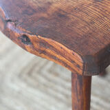 Oak cowbird stool