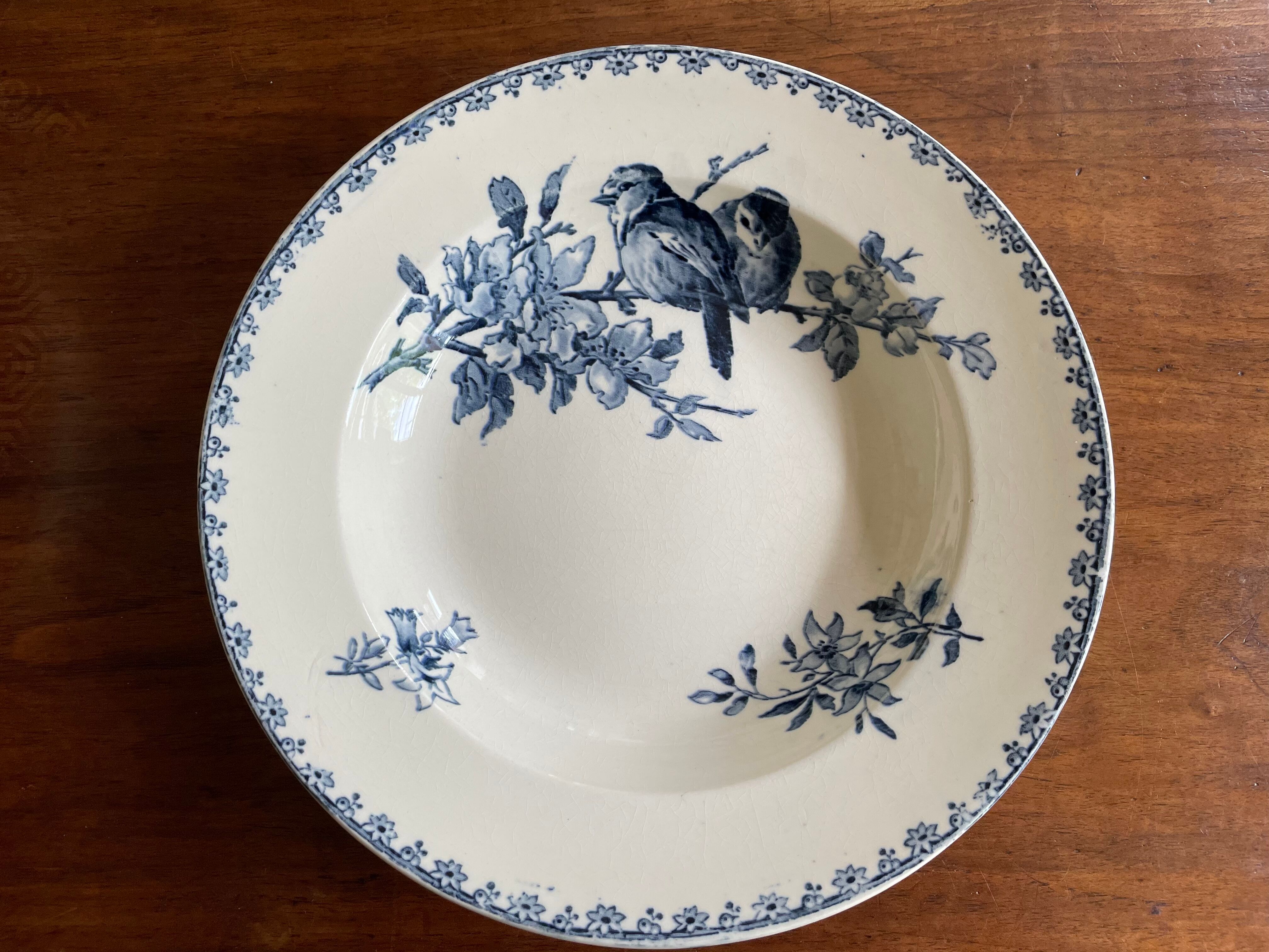 Hollow plates Sarreguemines Iron Earth model Blue favorite