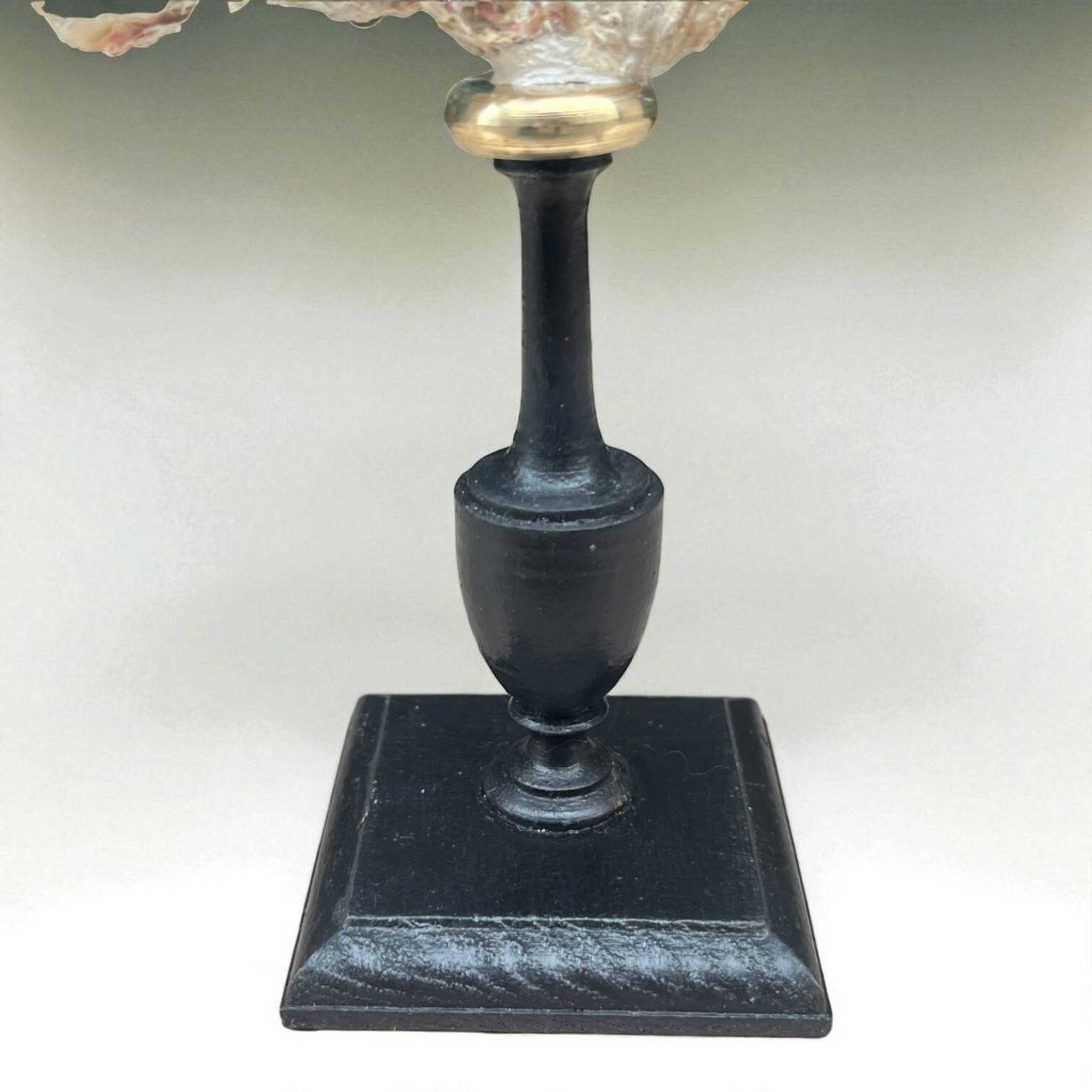 Antique natural white coral on turned wooden base - cabinet of curiosities