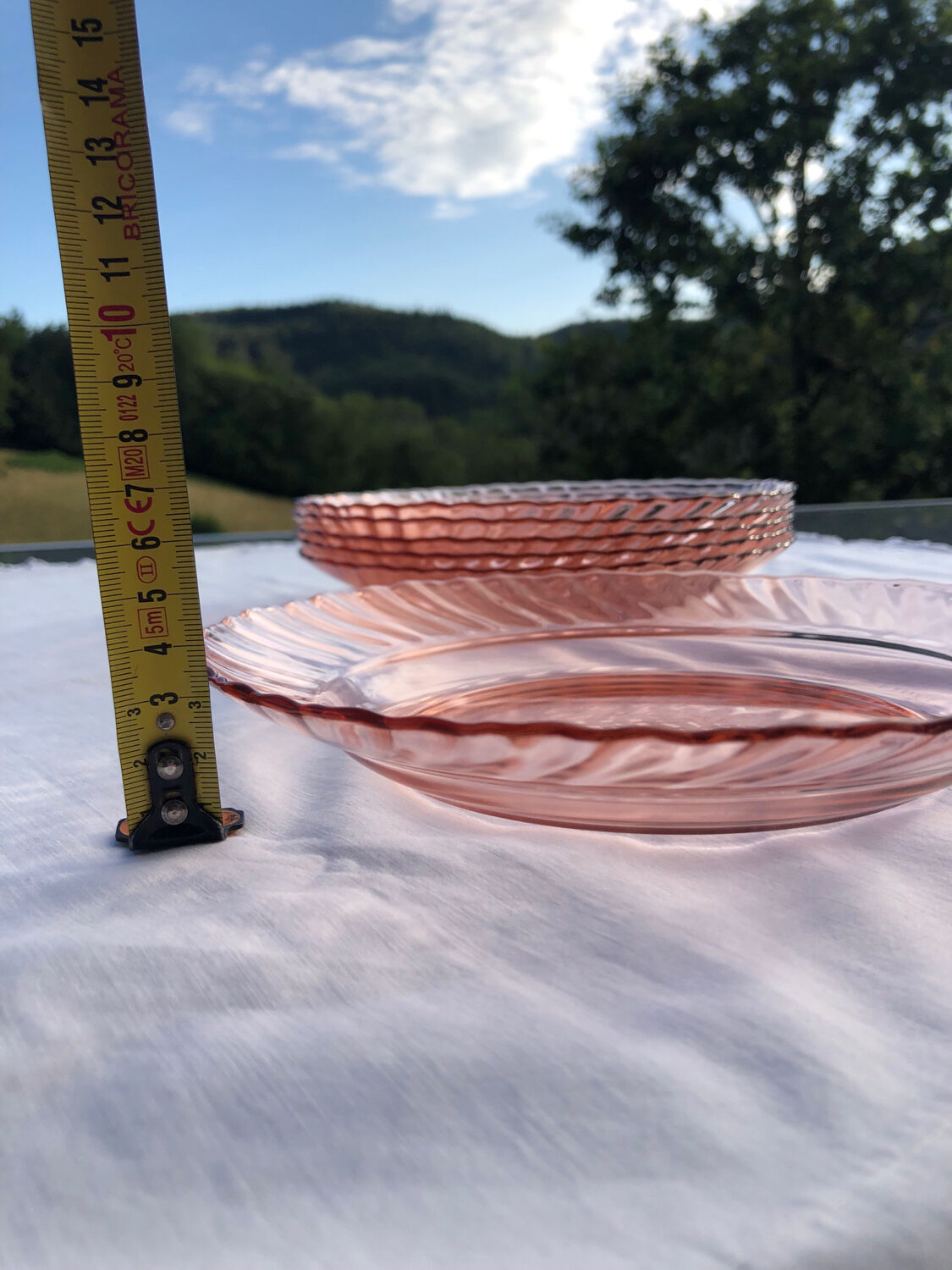 Lot 6 hollow plates Rosaline