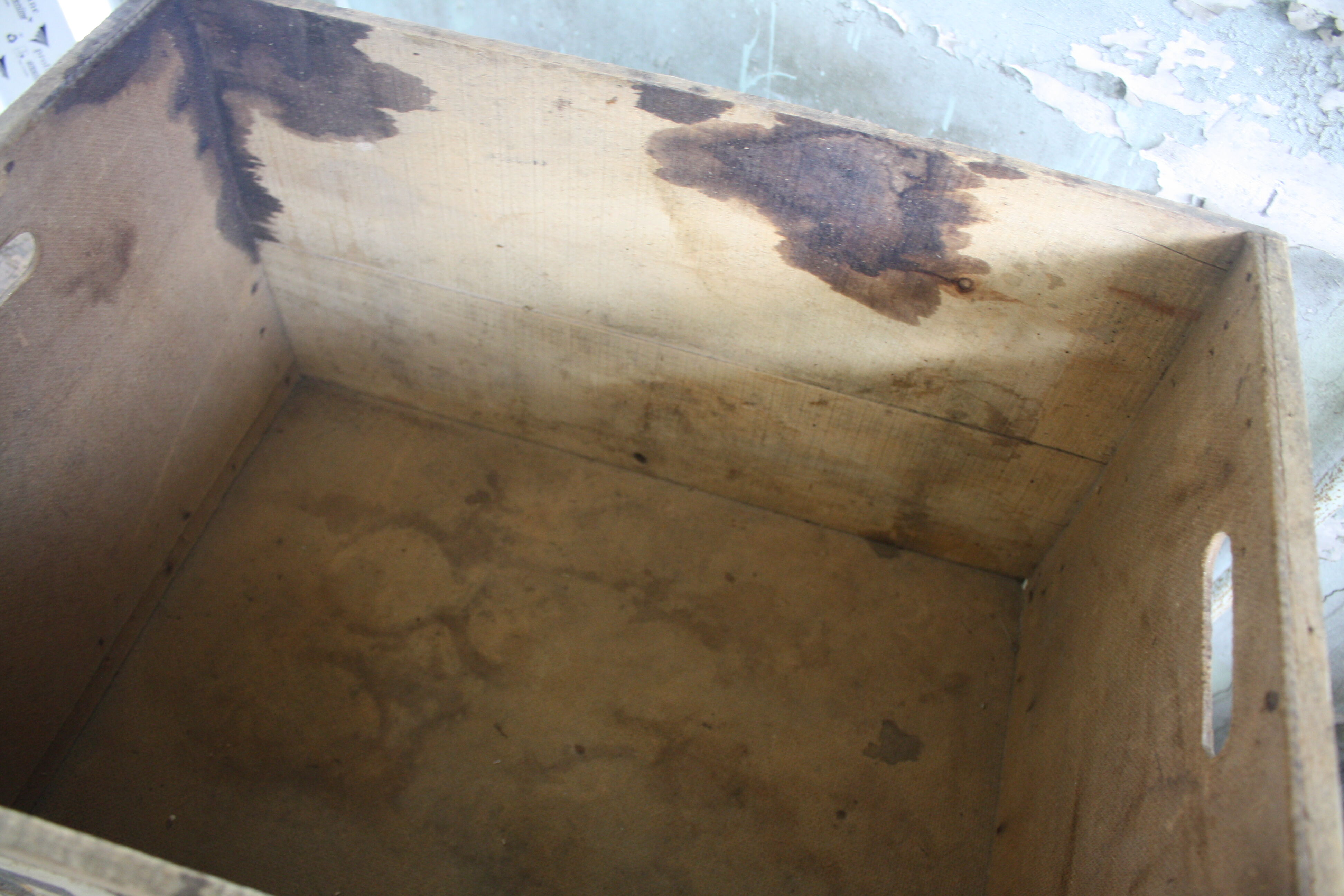 Leroux chicory wooden case