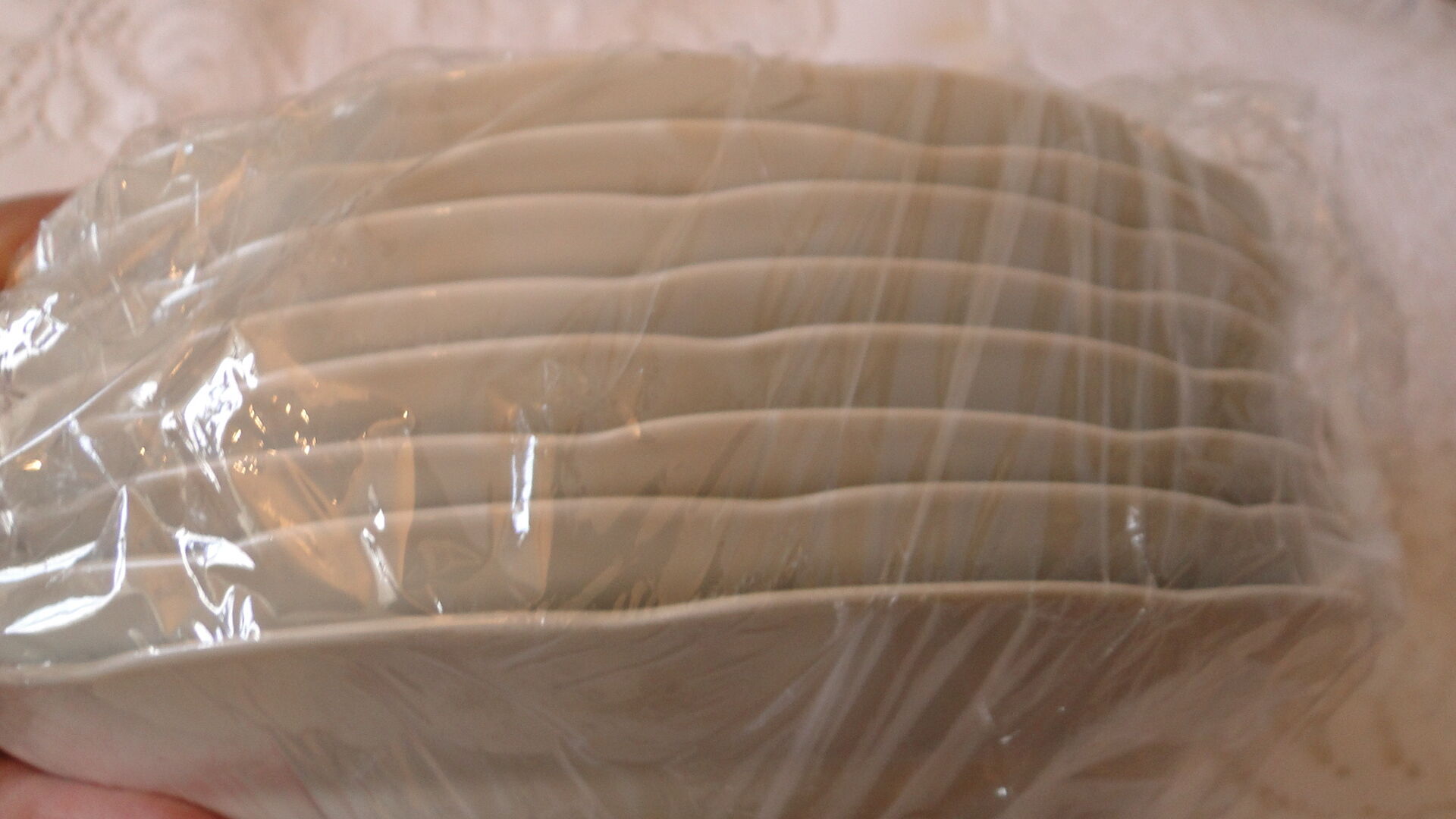 Lot 8 flat plates badonvillersflora model