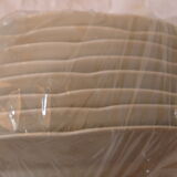 Lot 8 flat plates badonvillersflora model