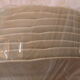 Lot 8 flat plates badonvillersflora model