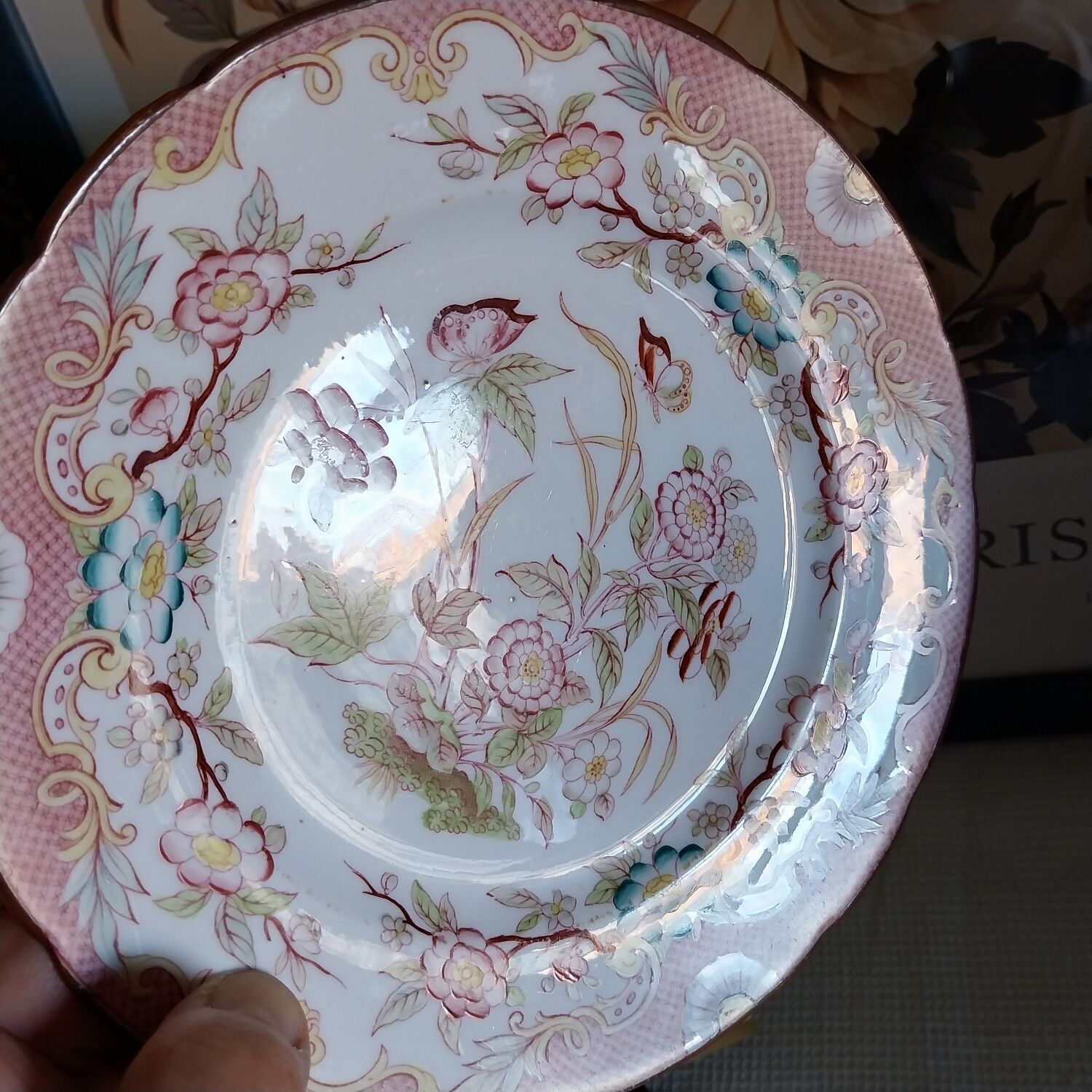 Old dessert plate Sarreguemines