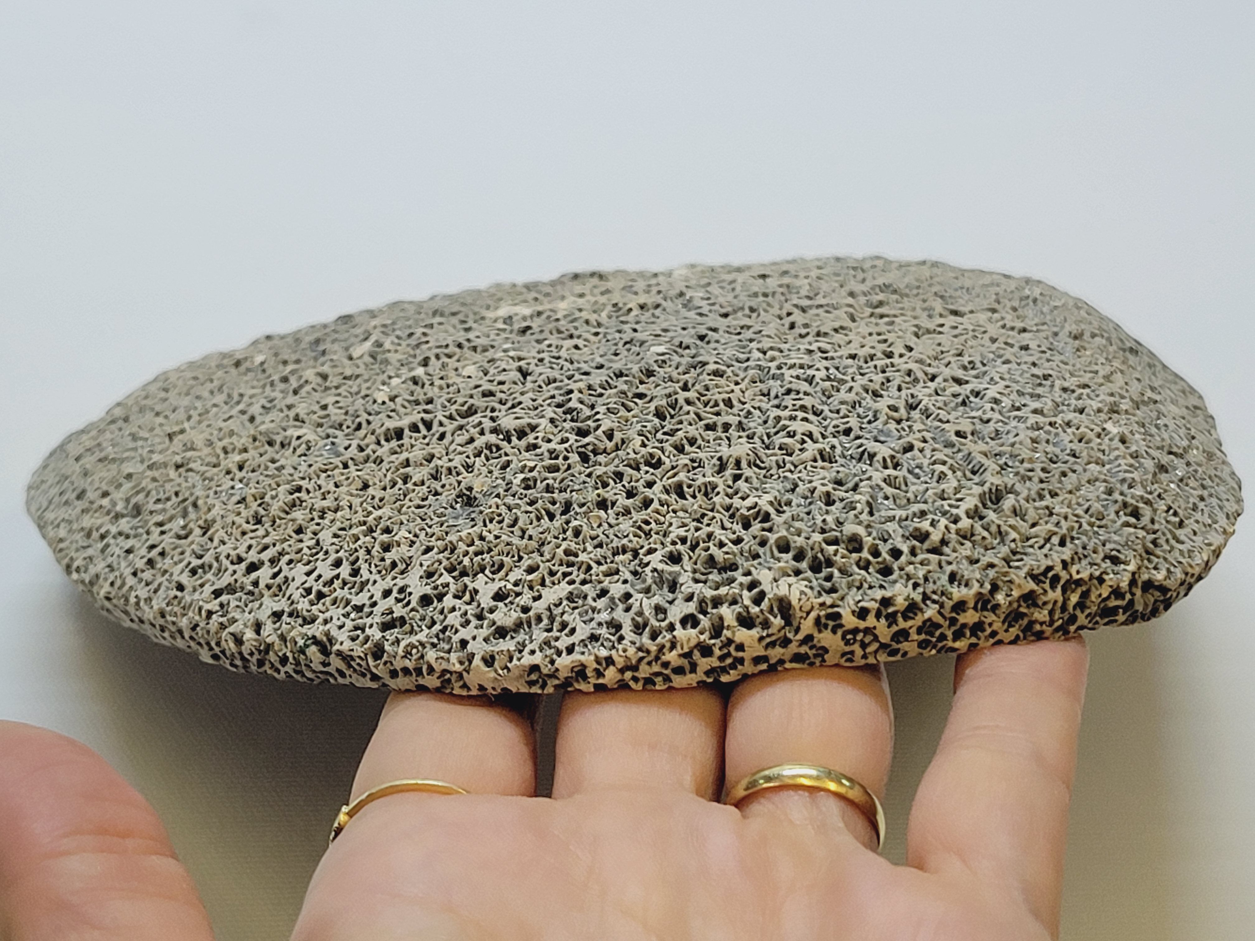 Decorative plate in glazed ceramic plaster? Prehistoric hunting décor