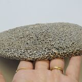 Assiette décorative en céramique émaillée plâtre  décor chasse préhistorique