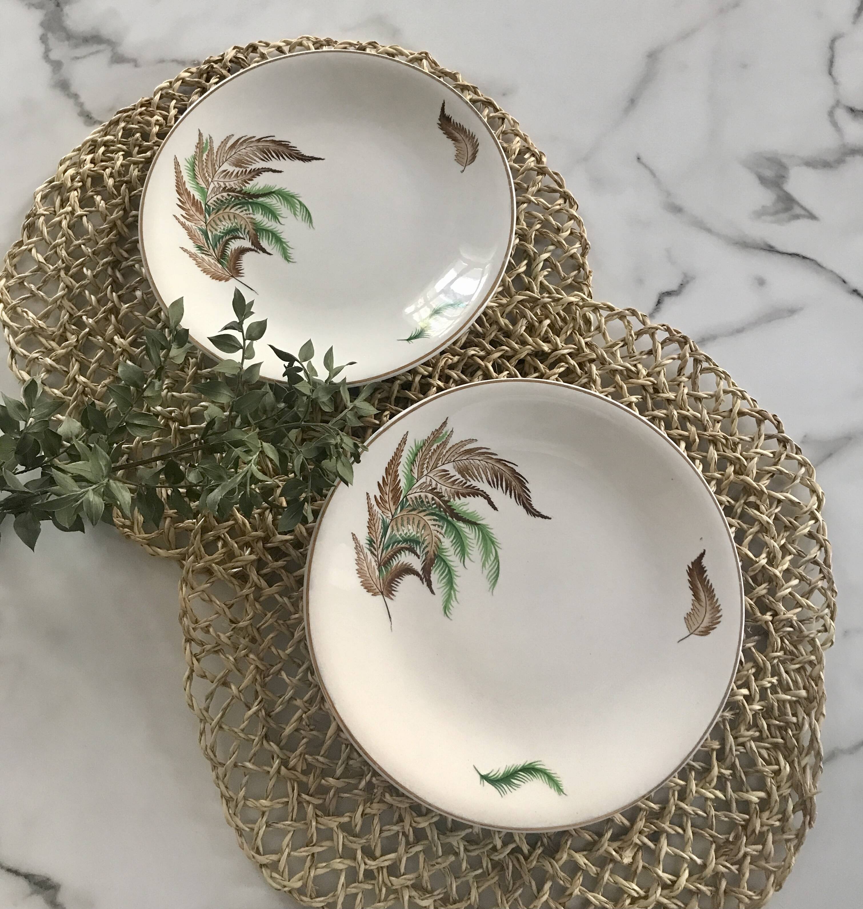 Very pretty vintage Digoin fern flat plates
