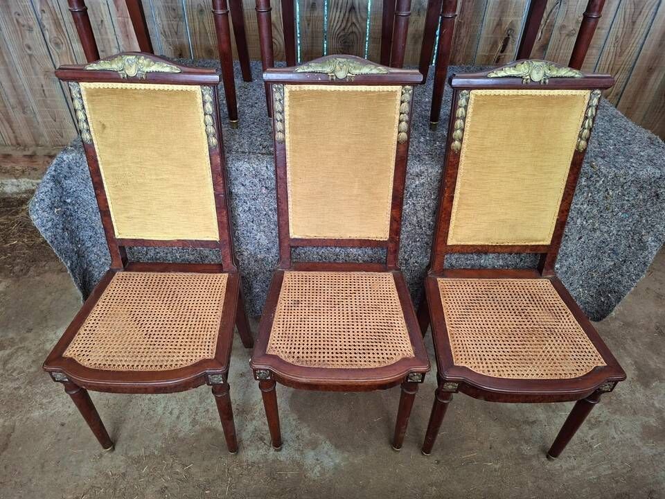 Set of 6 Empire dining chairs – Mahogany, gilded bronze (ombp)