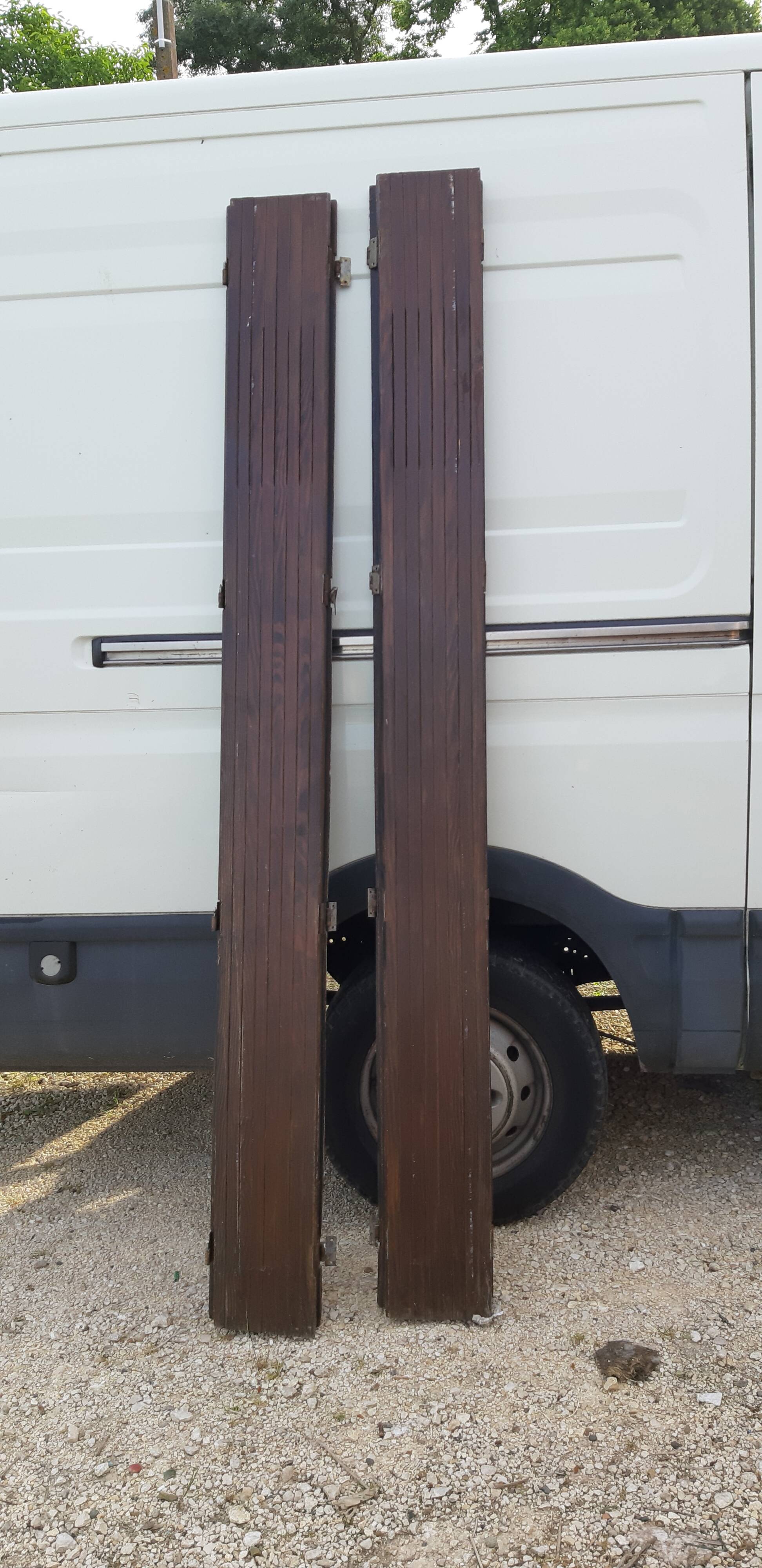Ancient persians in pine