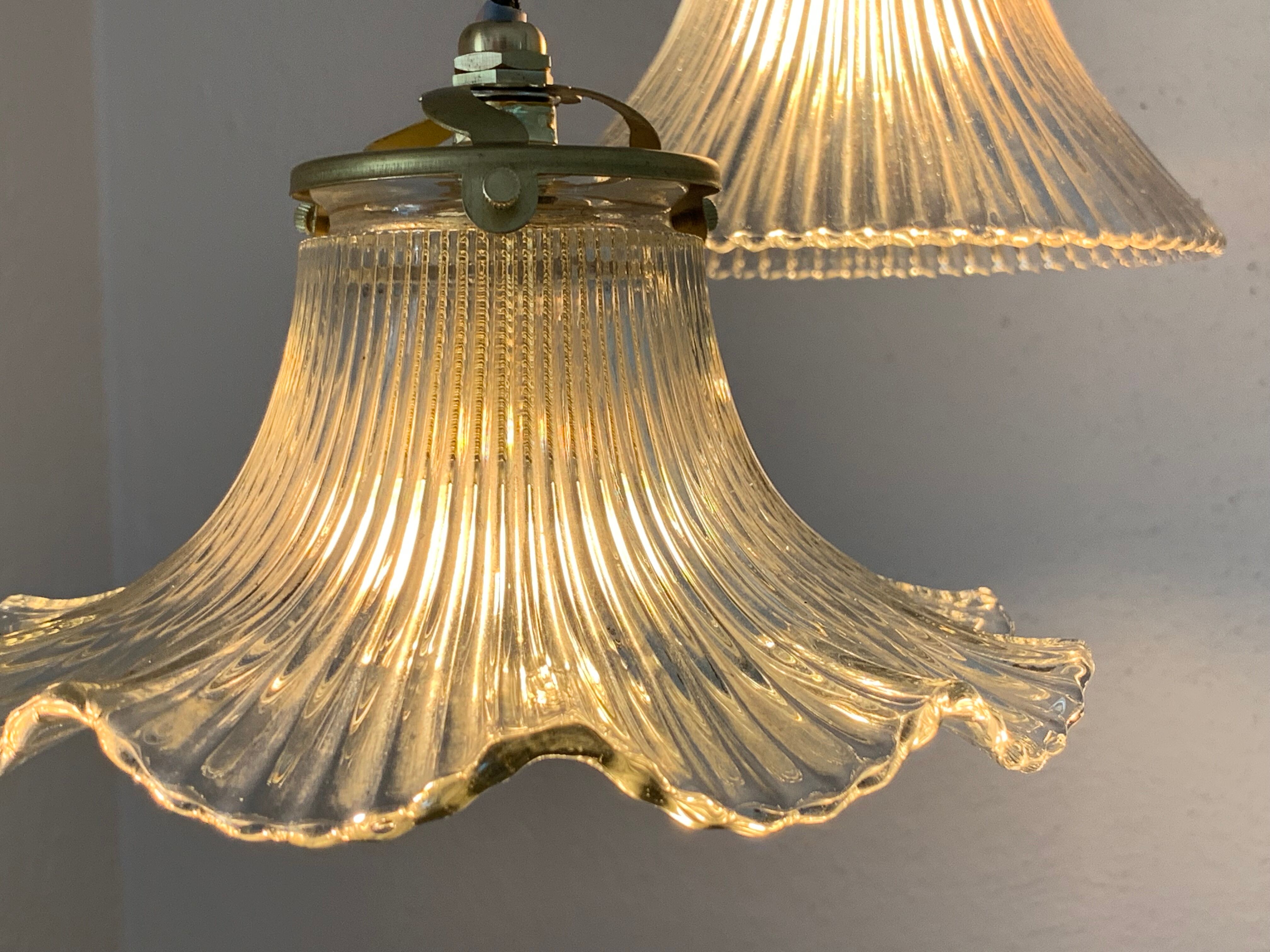 Duo lamps Holophane floral style