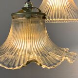 Duo lamps Holophane floral style