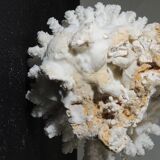 Sea coral cluster white/vintage